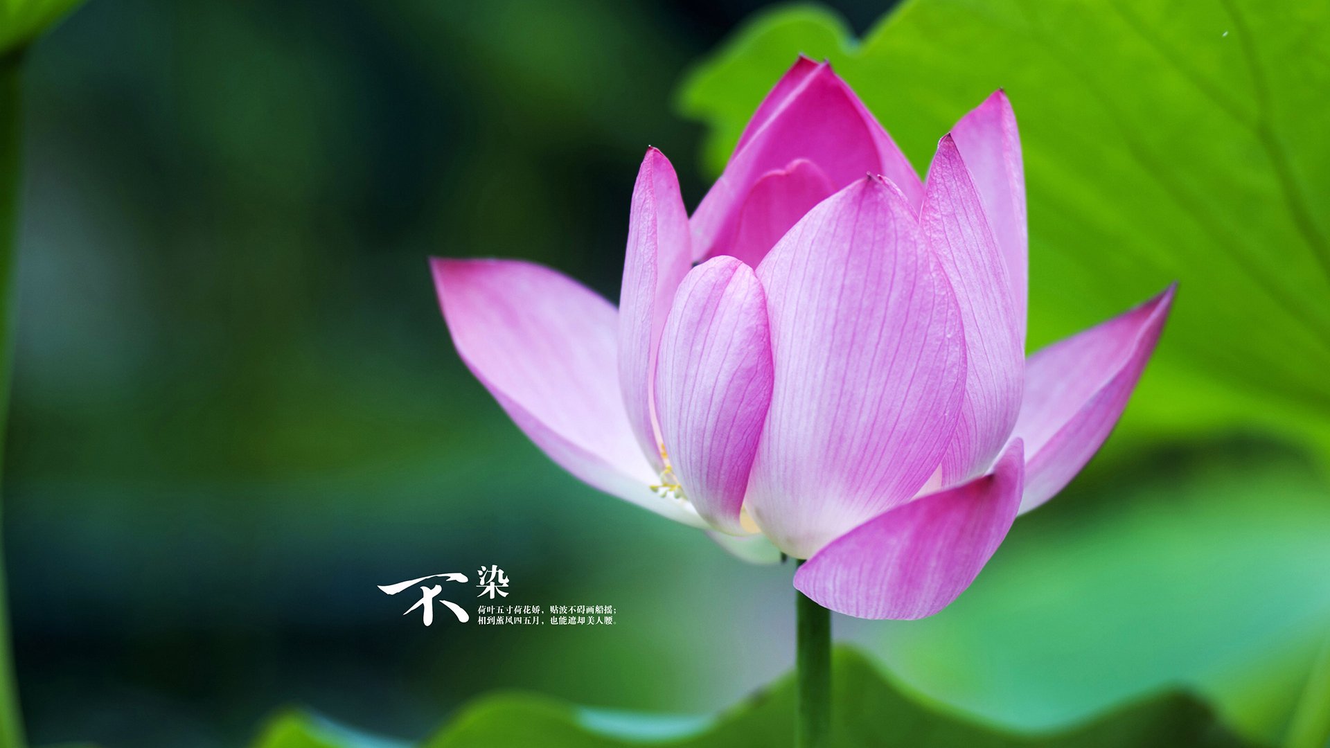 爱游戏app安装-英超球队引入高强度冲刺分区模型优化中前场压迫策略，英超列队