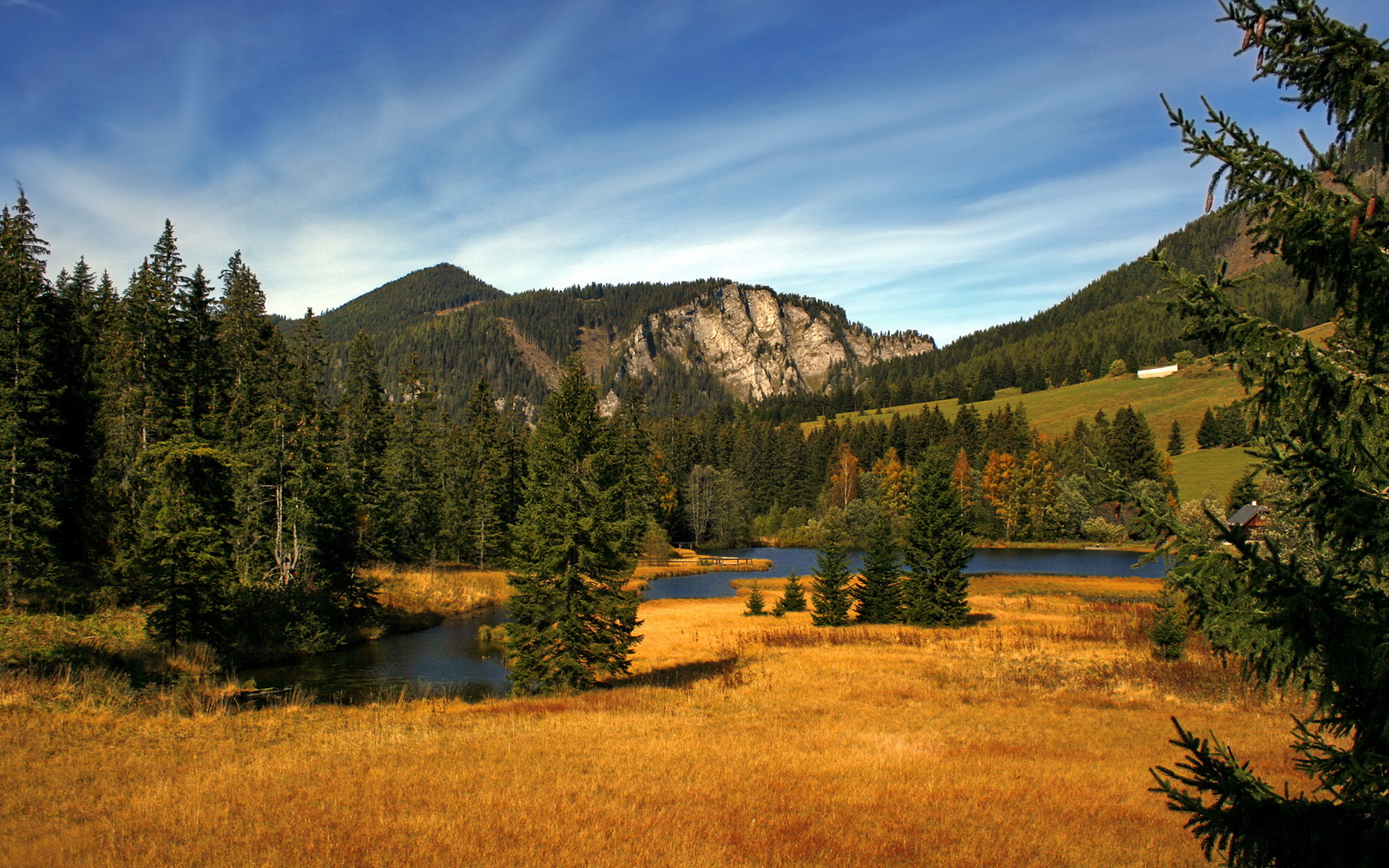 爱游戏体育-Palmer技战术全面,极具发展潜力,palmer owned