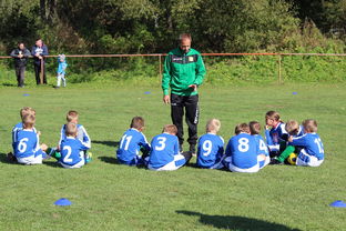 爱游戏app安装-球队是否因场上球员触球次数分布调整战术重心,球员击球后可触及球网全长