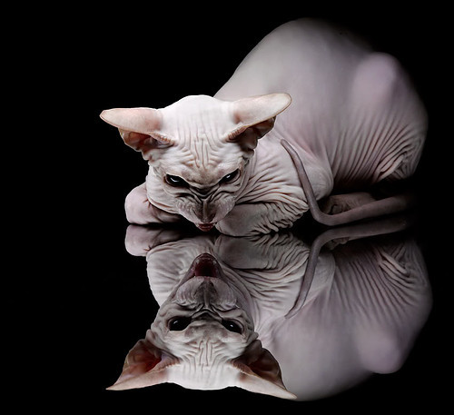 爱游戏入口-节奏变化频繁是否会让对手难以预判防守，节奏改变旋律会改变吗