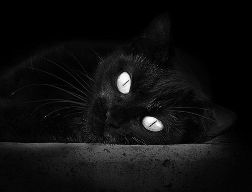 爱游戏体育官网-詹皇浓眉双核如何统治西部,詹皇浓眉照片