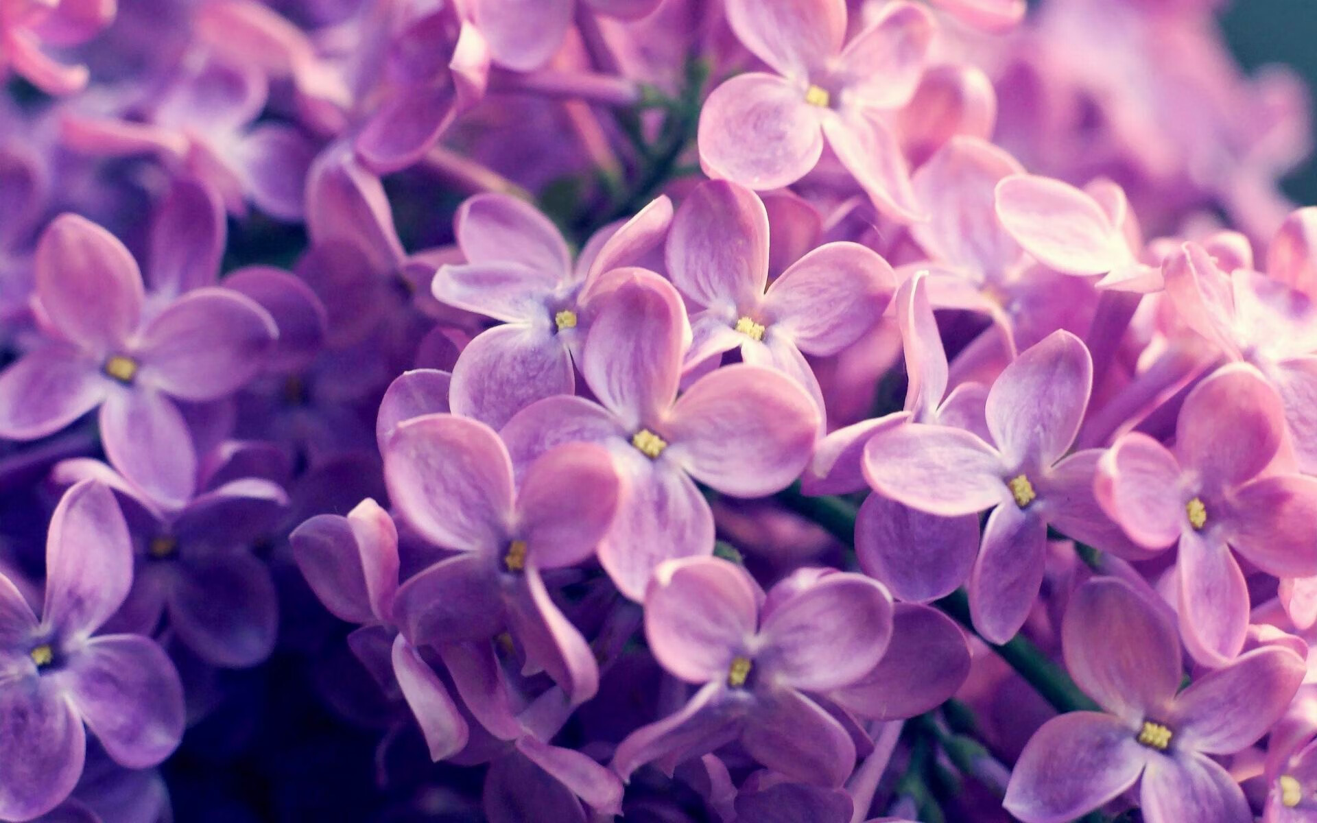 爱游戏体育入口-青少年体育大讲堂推广科学训练理念，青少年体育宣传