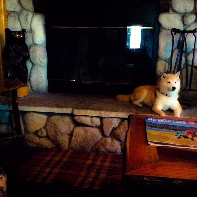 爱游戏app安装-卡萨斯赛后感谢团队支持，卡萨斯赛后感谢团队支持的话语