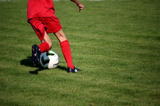 爱游戏app活动-国脚待遇结构调整引导更多球员留在国内发展,国家队国脚